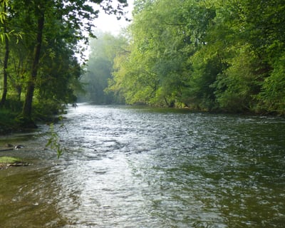 French Broad River Tubing in Asheville