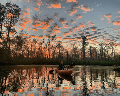 Swamp Kayak and Whitney Plantation Combo Tour