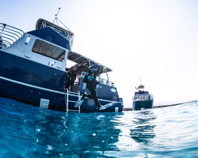 Morning 2 Tank Dive on Kona's Volcanic Reefs