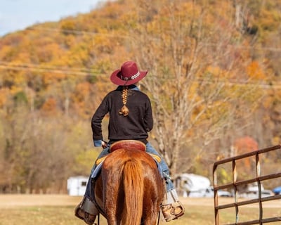 Ride a 1-Hour Horseback Trail in Shenandoah National Park