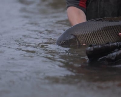4-Hour Guided Lake Fishing Trip in Cherokee