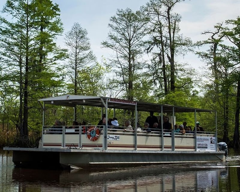 Neches River Eco Boat Tour in Beaumont