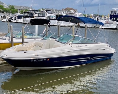 20' Sea Ray Boat Rental in New Buffalo