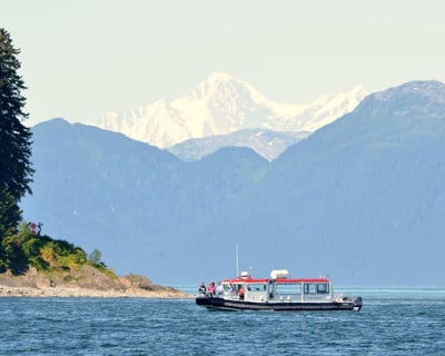 Whale Watching Cruise From Icy Strait Point