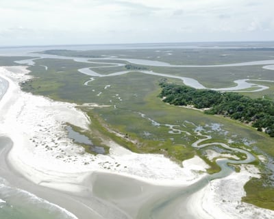 90-Minute Private Dolphin Tour