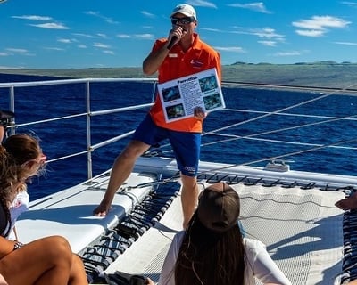3-Hour Kona-Kohala Coast Snorkel Sail Cruise