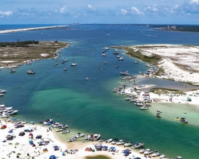 Cruise to Fort McRee Sandbar From Pensacola Beach