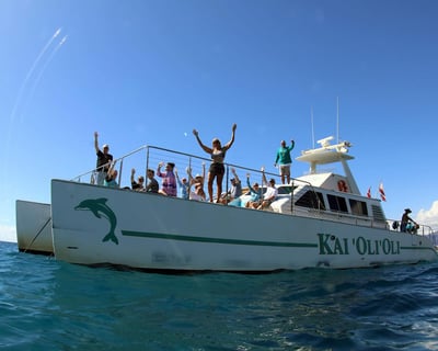 Oahu Dolphin Snorkeling Tour with Hawaiian Lunch