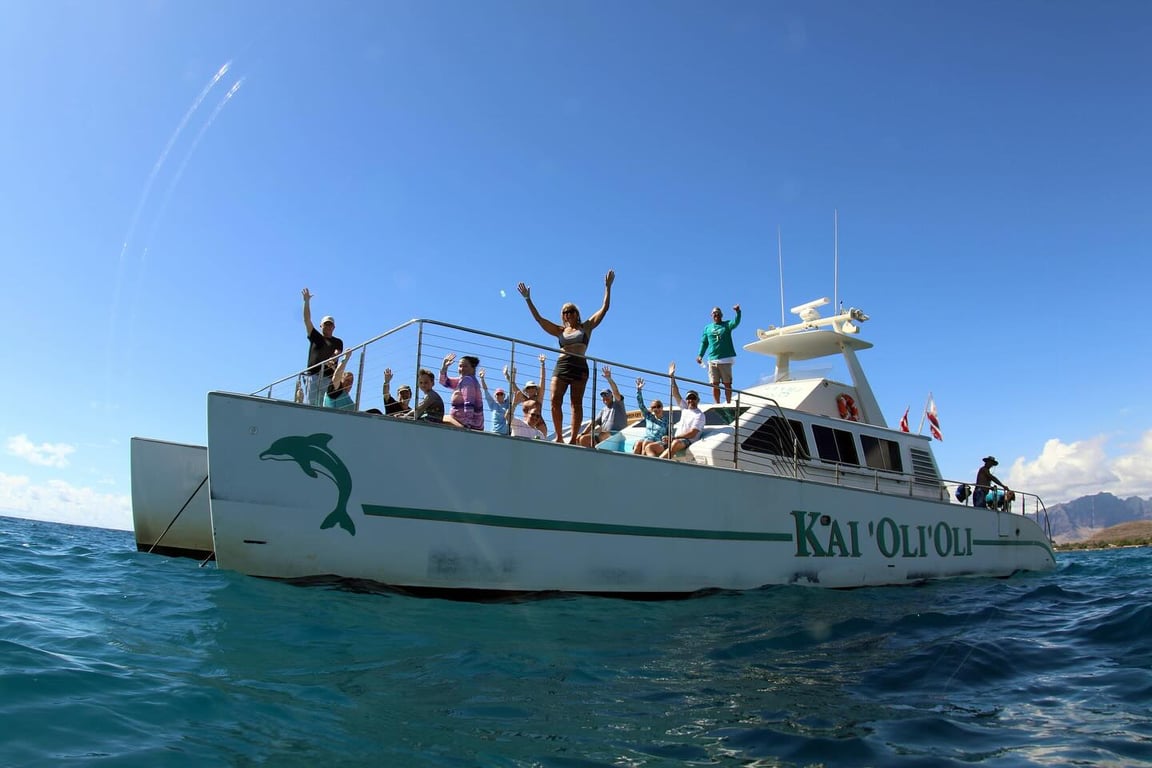 Morning Dolphin Watch and Snorkel Cruise with Lunch