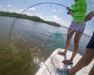 Fish an Inshore Charter in Homosassa
