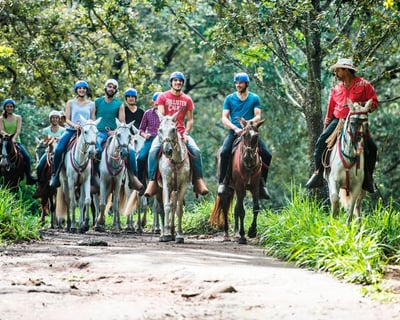 La Oropéndola Waterfall Horseback Riding Tour
