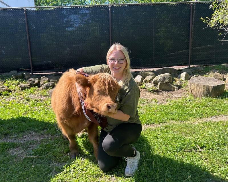 Hands-On Farm Visit With 100+ Animals in Kent