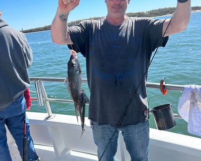 Sea Bass Fishing Trip in Waterford