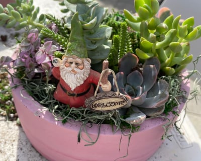Succulent Potting Class in Clovis