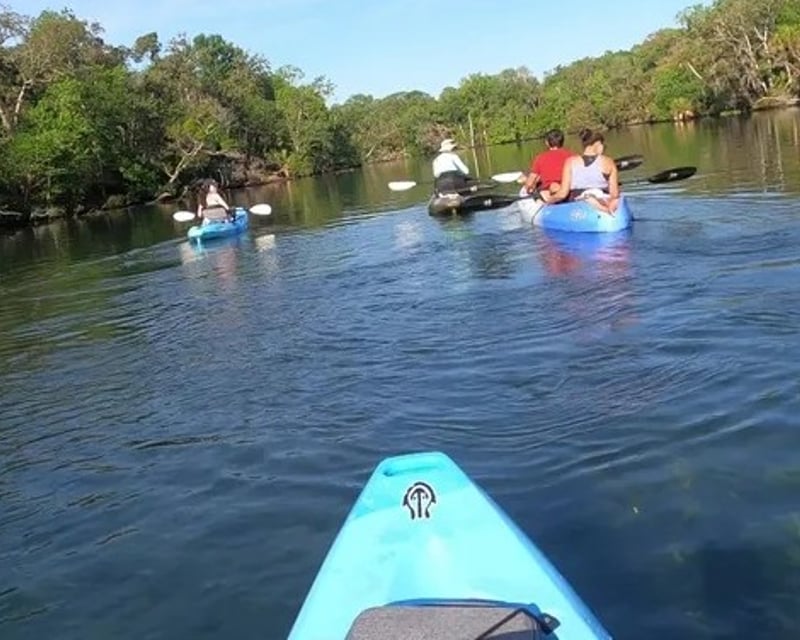 Chassahowitzka River Guided Kayak Tour