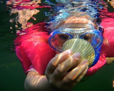 Crystal River Scalloping Tour