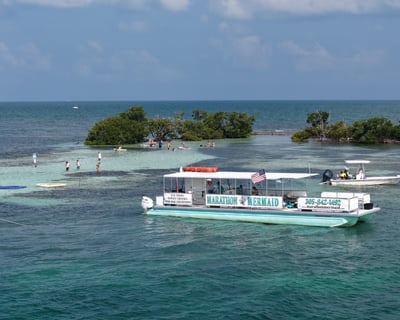 Marathon Snorkel & Sandbar Cruise