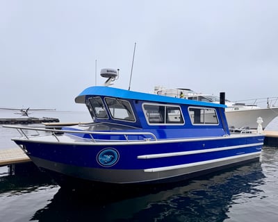 Bear-Watching Cabin Cruiser Tour in Tofino