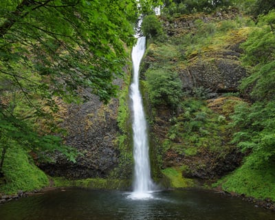 Explore the Columbia River Gorge on a Private Tour