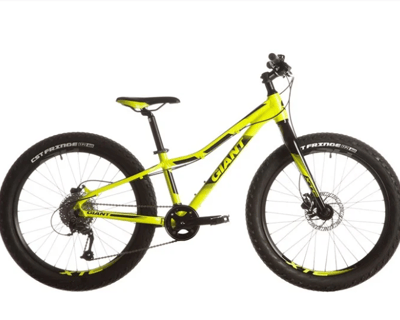 Ride a 24" Kids Mountain Bike Rental in Waimea