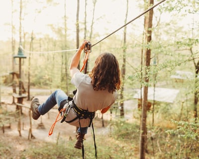 3-Hour Treetop Adventure in Winona