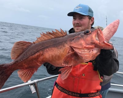 Full-Day Offshore Rockfish & Lingcod Fishing in Newport