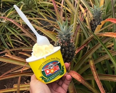 Taste Oahu North Shore Food & Dole Plantation Tour