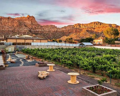UTV Ride & Wine Tasting Guided Tour Near Hurricane