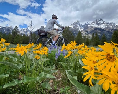 Grand Teton National Park Guided E-Bike Tour