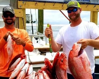 Fish On An 8-Hour Deep Sea Trip In Destin