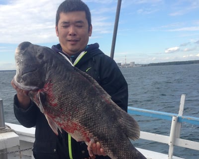 Blackfish Fishing Charter in Waterford