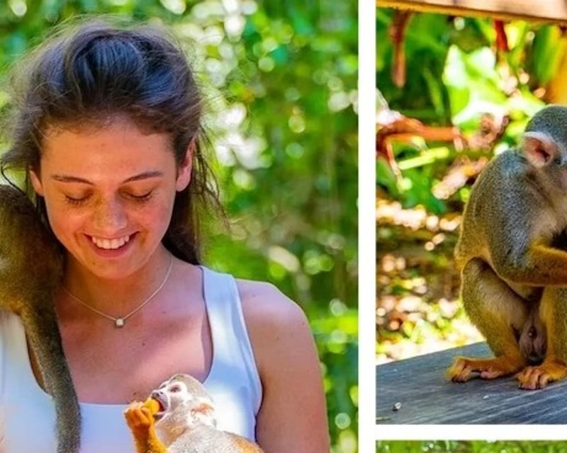 Monkeyland Squirrel Monkey Encounter in Punta Cana