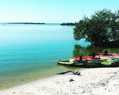 Manatees, Sunset, and Bioluminescence Kayak Tour