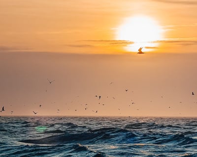 Sunset Boat Tour in Hilton Head for Up to 8