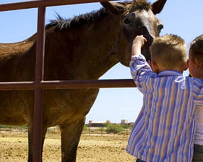 Kids Extended Horsemanship Session With Trail Ride