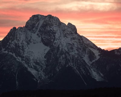 Guided Sunset Wildlife Tour in Grand Teton National Park