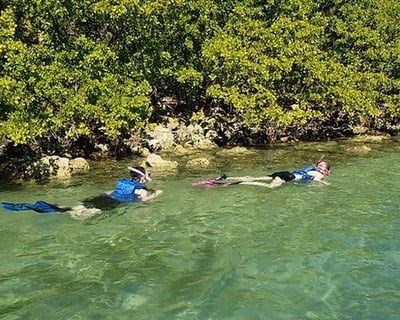 Guided Island Snorkeling Tour In North Miami