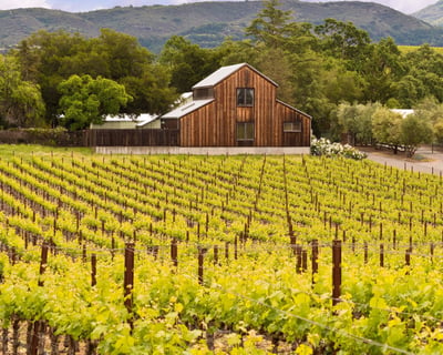 3-Day Sonoma & Napa Wine Tour