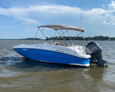 Beachcombing & Eco Tour