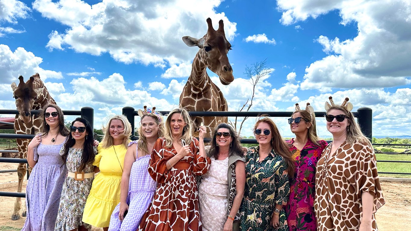 Giraffe and Rhino Encounter at Longneck Manor