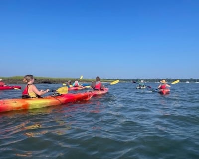 Kayak Beaufort Ecology Tour