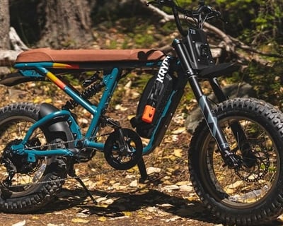 Fat Tire Bike Rental in Manistee