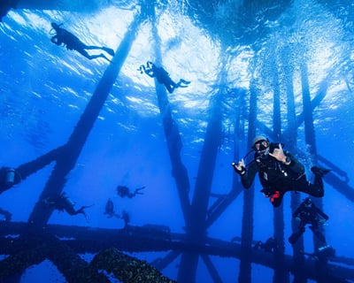 7-Dive Flower Garden Banks Scuba Tour