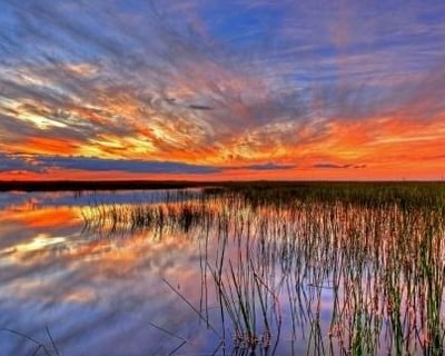 Everglades Night Safari Tour