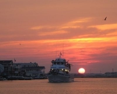 Sunset Nature Cruise in Avalon