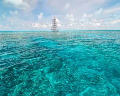 Guided Snorkeling Charter in Key West