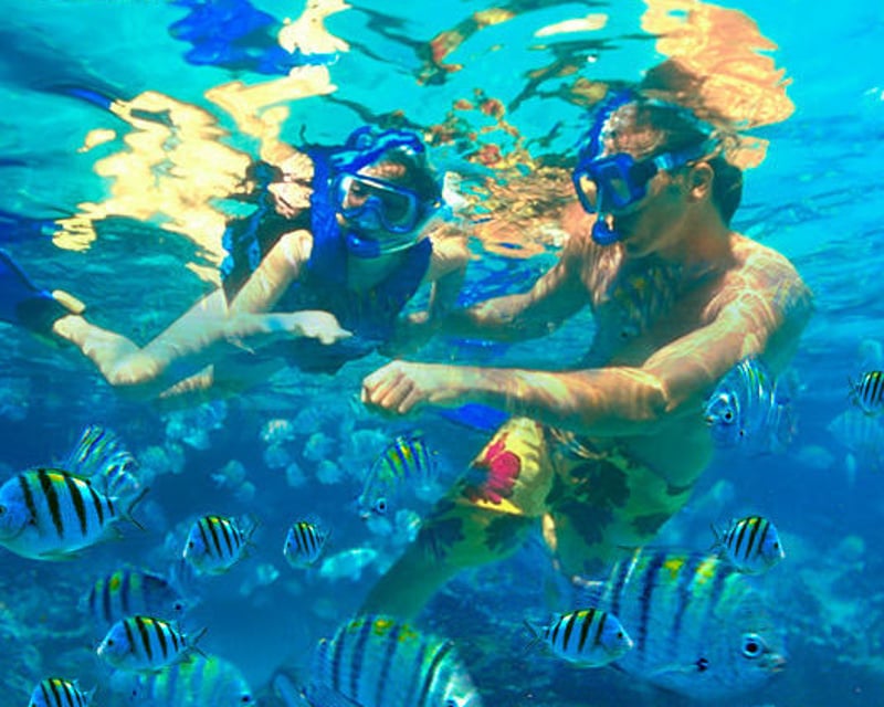 Private Snorkeling Boat Charter in La Parguera