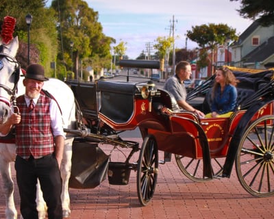 25-Minute Guided Carriage Tour of Old Town Eureka