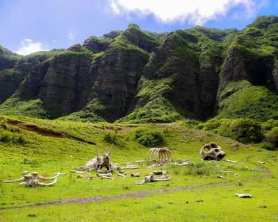 Explore Kualoa Movie Sites & Southeast Oahu Tour