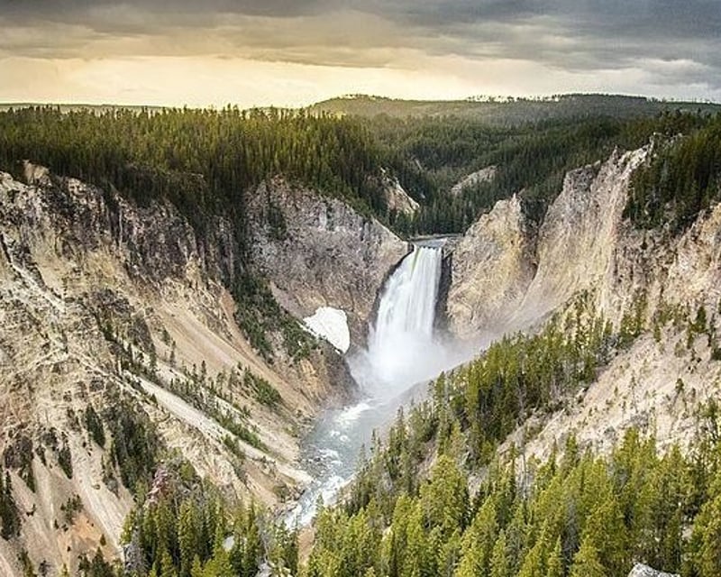Yellowstone Lower Loop Full-Day Tour From Jackson